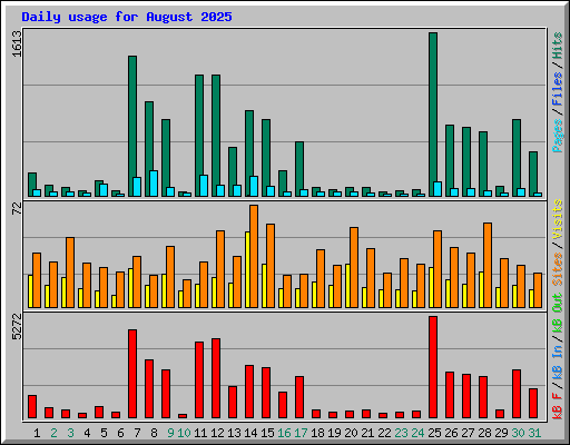 Daily usage for August 2025