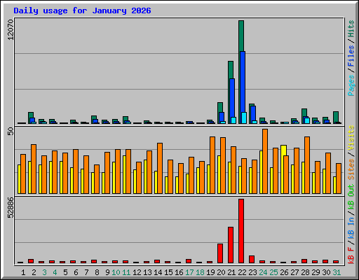 Daily usage for January 2026