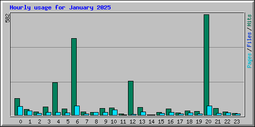 Hourly usage for January 2025