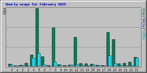 Hourly usage for February 2025