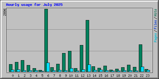 Hourly usage for July 2025