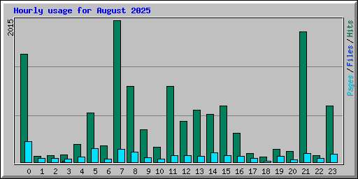 Hourly usage for August 2025