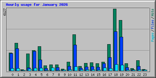 Hourly usage for January 2026
