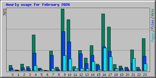 Hourly usage for February 2026