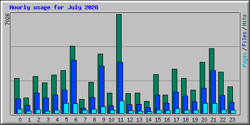 Hourly usage for July 2026