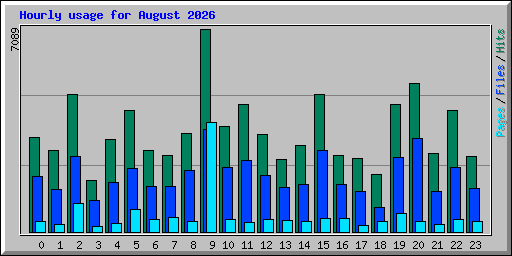 Hourly usage for August 2026