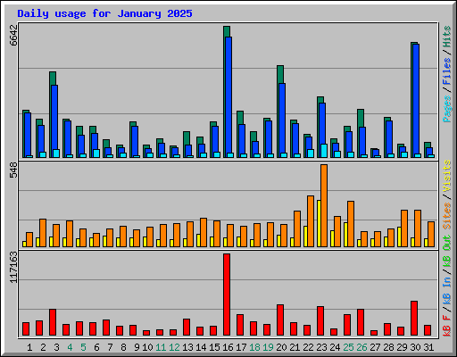 Daily usage for January 2025