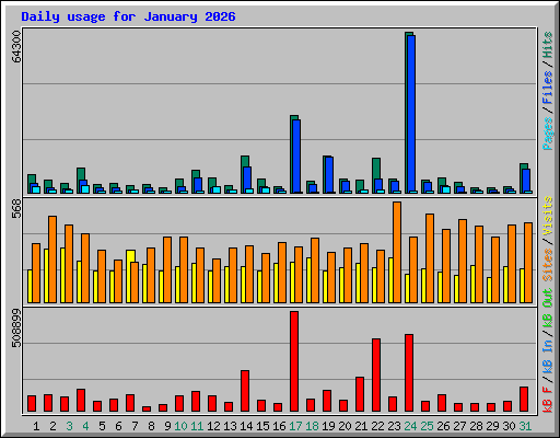 Daily usage for January 2026