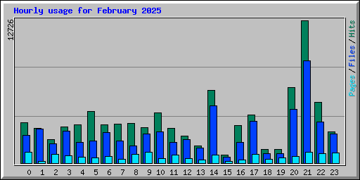 Hourly usage for February 2025