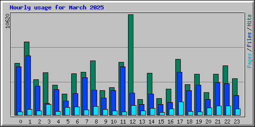 Hourly usage for March 2025