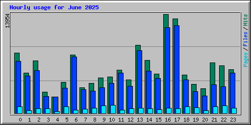 Hourly usage for June 2025