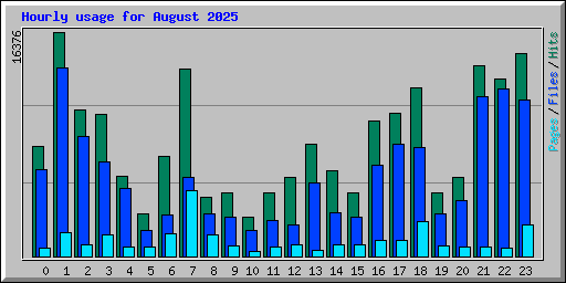 Hourly usage for August 2025