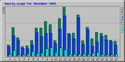 Hourly usage for November 2025