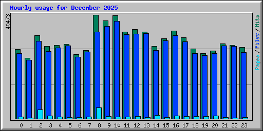 Hourly usage for December 2025
