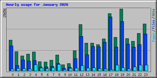 Hourly usage for January 2026