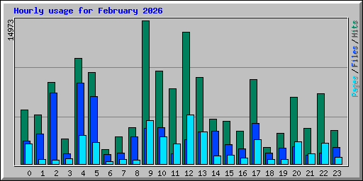 Hourly usage for February 2026