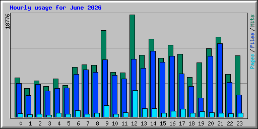 Hourly usage for June 2026